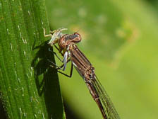 a0123836_17135870.jpg