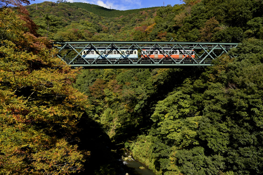 b0042837_17545485.jpg