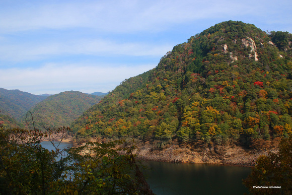 e0155240_1637279.jpg