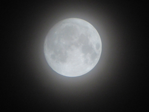 d0039443_23393850.jpg