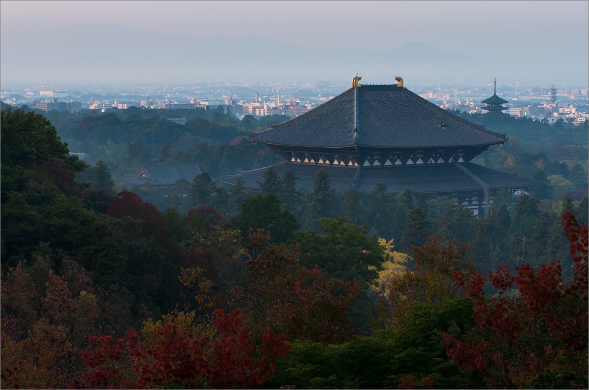 大仏殿遠望_d0058445_8481190.jpg