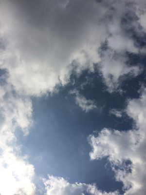 c0260648_19095800.jpg