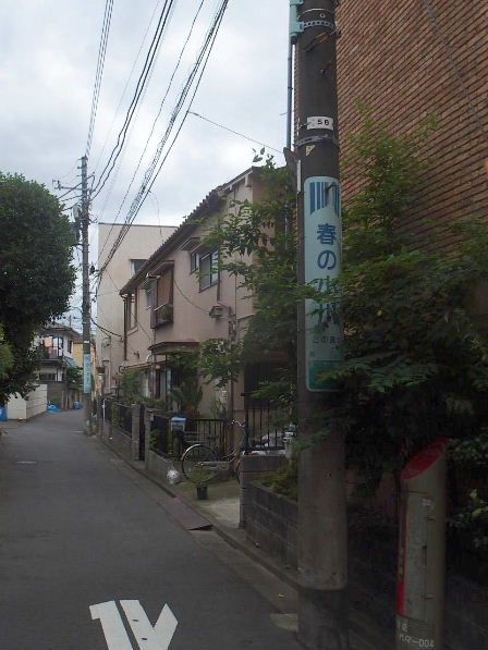 d0063149_12061801.jpg