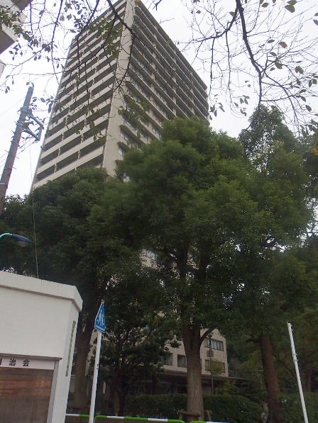d0063149_12082750.jpg