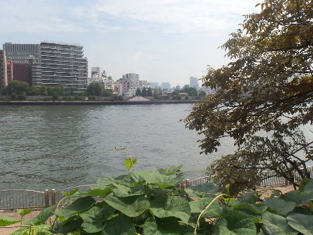 d0063149_12085077.jpg