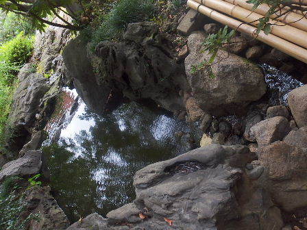 d0063149_12090802.jpg