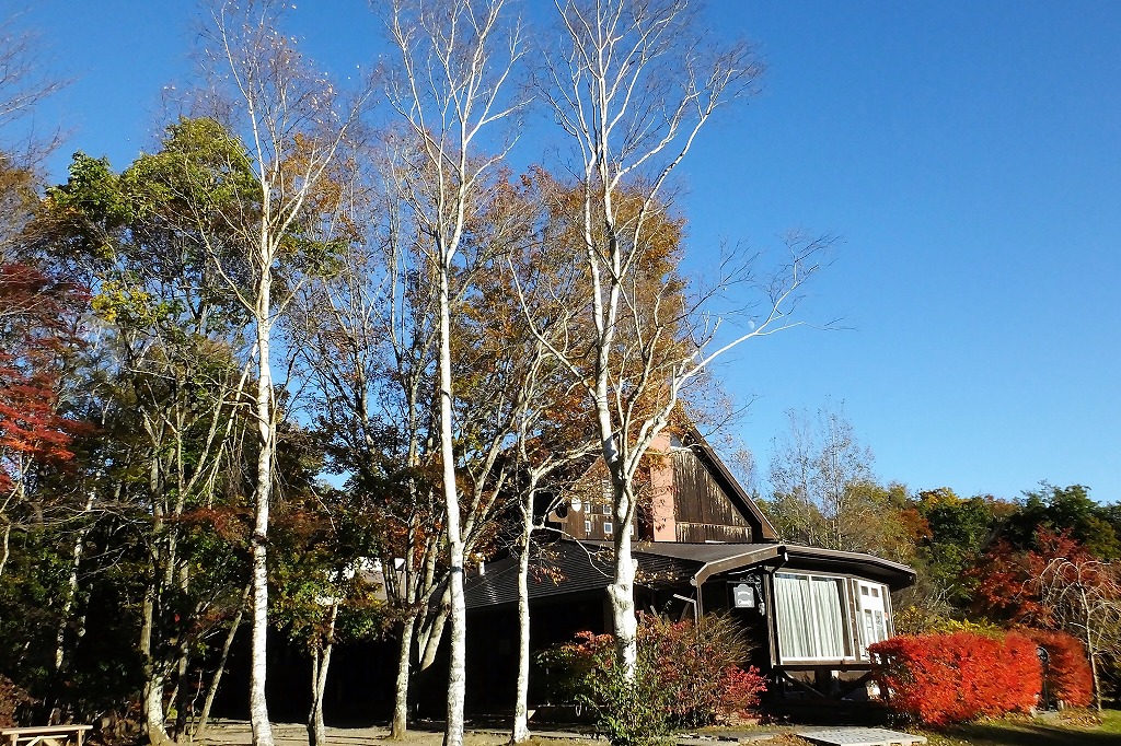 b0236251_11244227.jpg