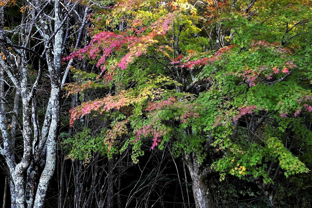 b0236251_11333623.jpg