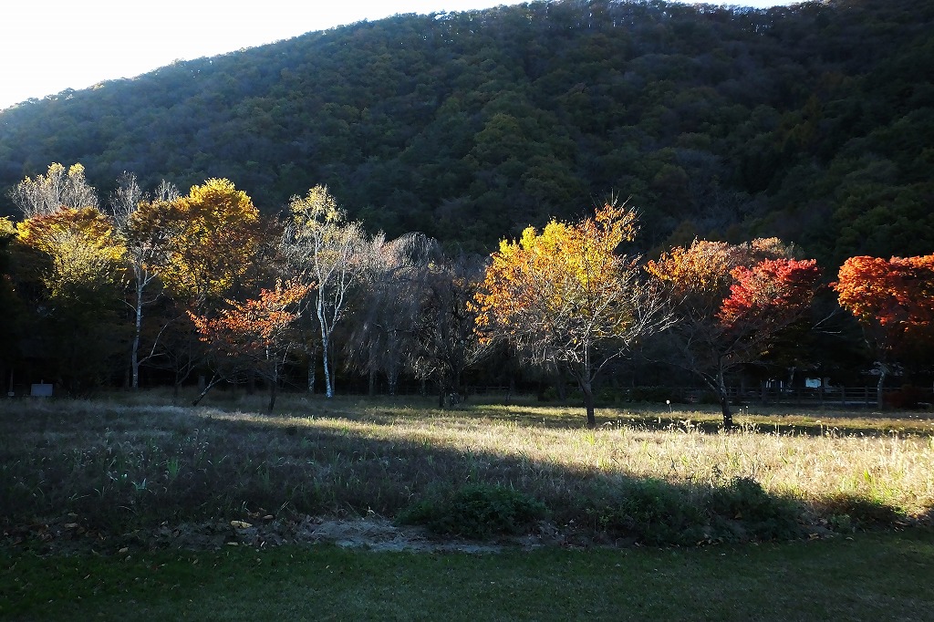 b0236251_1133429.jpg