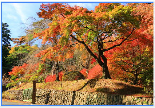 a0290852_21504329.png
