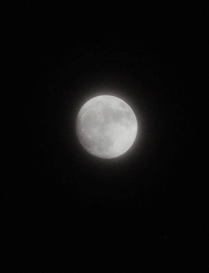 b0214652_18321879.jpg