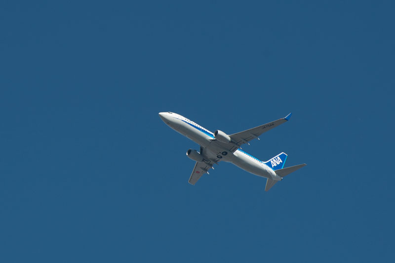 d0342652_11413446.jpg