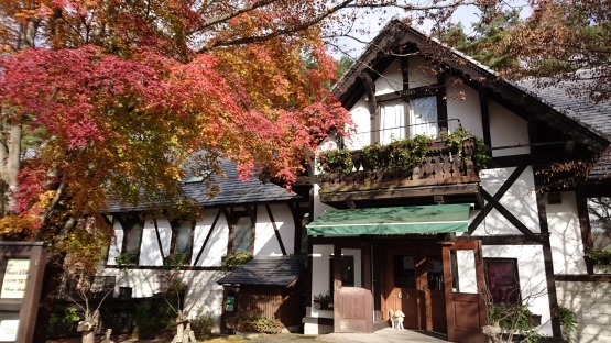 山梨県へ「紅葉」萌木の村_d0347253_23215928.jpg