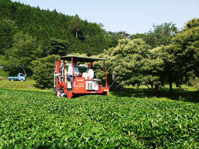水源キウイ!令和6年度の予約販売受付スタート!完全無農薬・無化学肥料の熊本県産のキウイを11月中旬より出荷開始予定!_a0254656_19221245.jpg