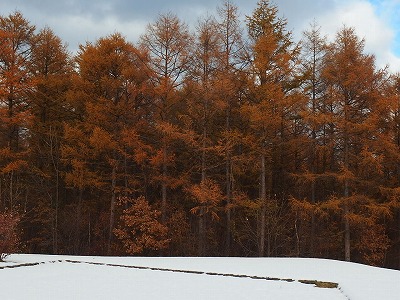 e0004756_1323428.jpg