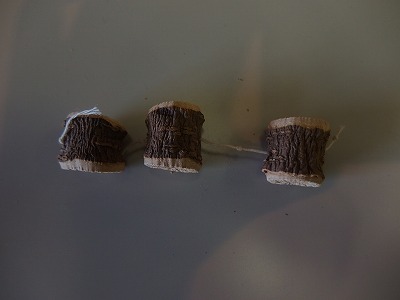 e0004756_1411239.jpg