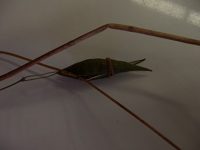 e0004756_14183057.jpg