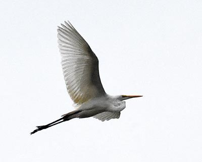 e0035757_22465191.jpg