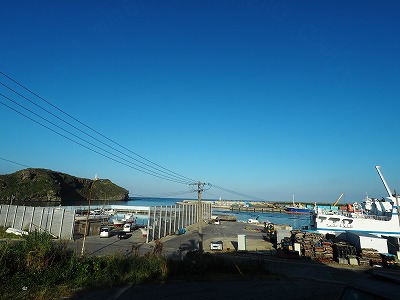 11月13日 常駐バラクーダ_d0113459_19291884.jpg