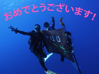 11月13日 常駐バラクーダ_d0113459_20275263.jpg