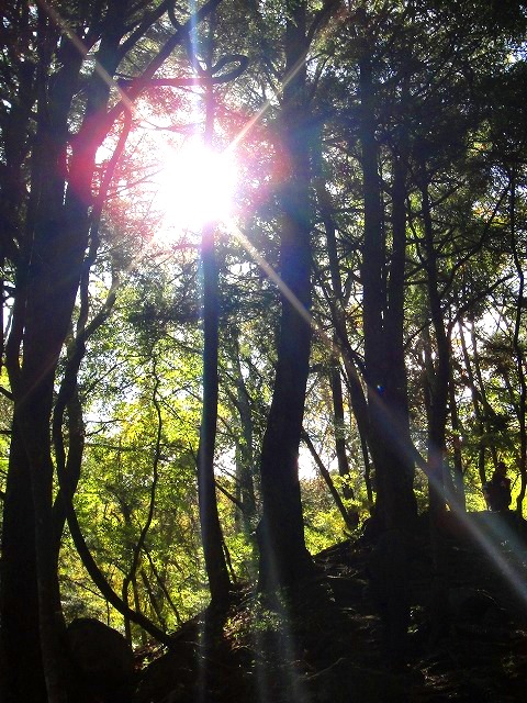 <2016年10月29~30日>中高同級生・秋のハイキング一泊旅行(山梨・白州)_c0119160_16594075.jpg