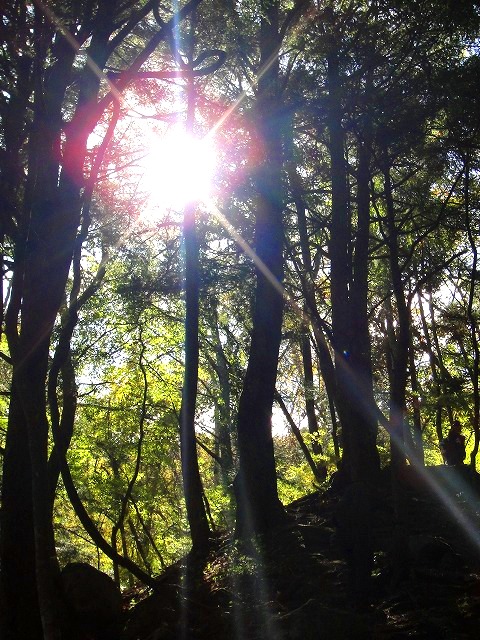 ＜2016年10月29～30日＞中高同級生・秋のハイキング一泊旅行（山梨・白州）_c0119160_16594075.jpg