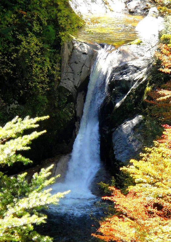 ＜2016年10月29～30日＞中高同級生・秋のハイキング一泊旅行（山梨・白州）_c0119160_1716438.jpg