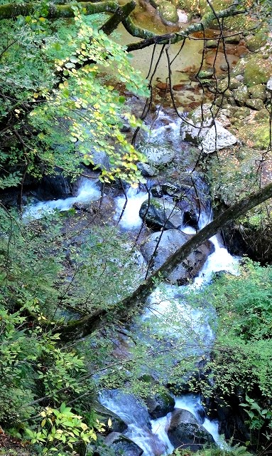 <2016年10月29~30日>中高同級生・秋のハイキング一泊旅行(山梨・白州)_c0119160_1745456.jpg