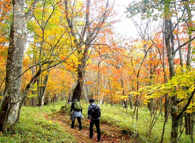 <2016年10月29~30日>中高同級生・秋のハイキング一泊旅行(山梨・白州)_c0119160_22404682.jpg