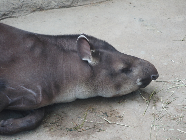 c0186760_09481045.jpg