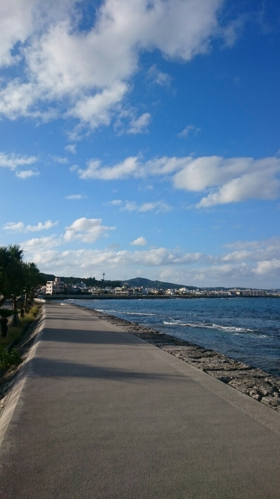 d0337560_16490796.jpg