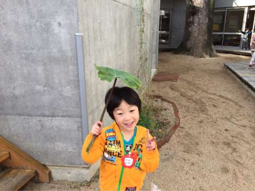 屋上菜園の野菜達⑥_f0324461_14013269.jpg