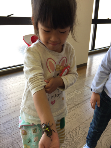 虫と遊ぼう_f0324461_22001094.jpg