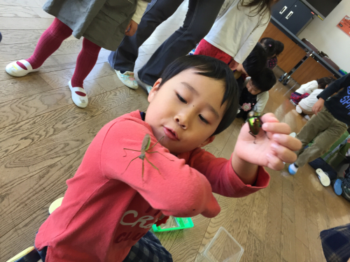 虫と遊ぼう_f0324461_22001356.jpg