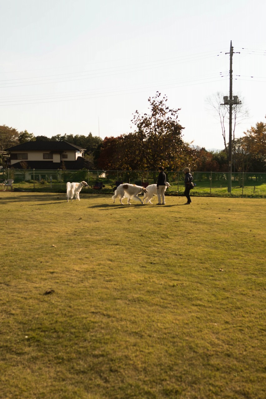 c0260264_69851.jpg