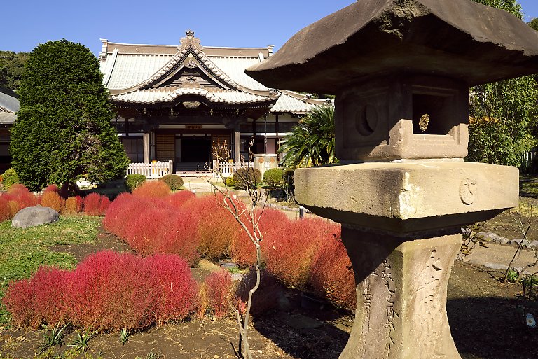 遊行寺（11月12日）_c0057265_3154629.jpg