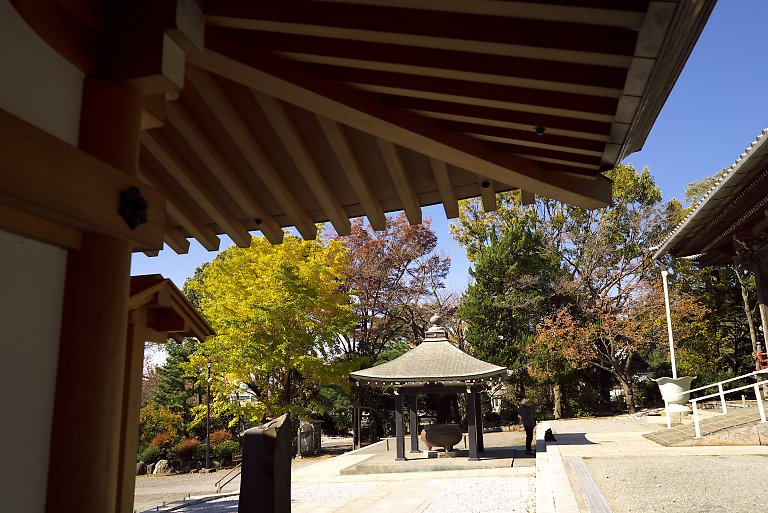 遊行寺（11月12日）_c0057265_3171450.jpg