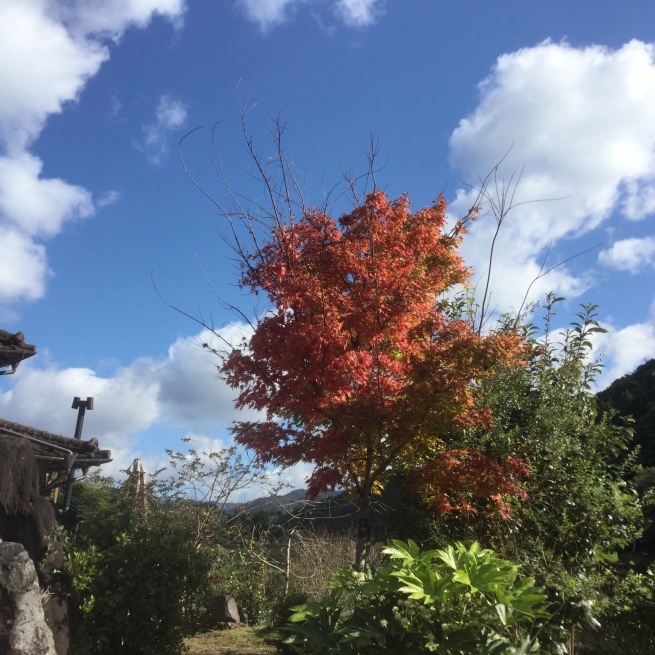 毘沙門様との出会い お祭りが終わって ⑶_c0348065_09175633.jpg