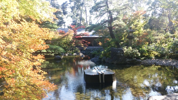 寒川神社～紅葉～　2016.11.12_d0239667_11274342.jpg