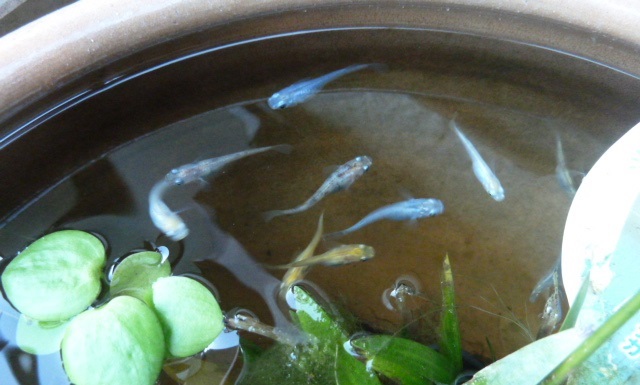e0278968_23315672.jpg
