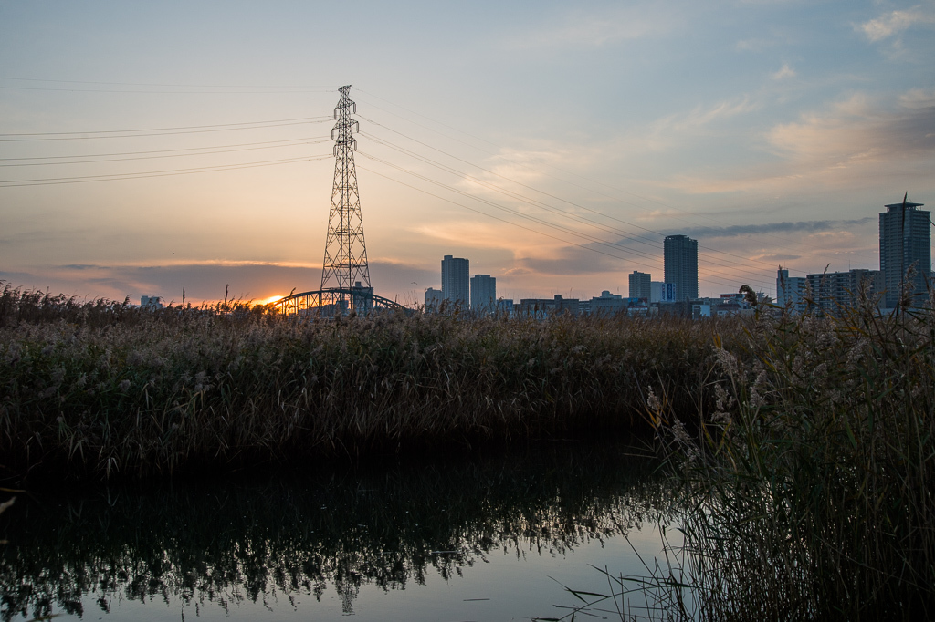 a0301676_20201601.jpg