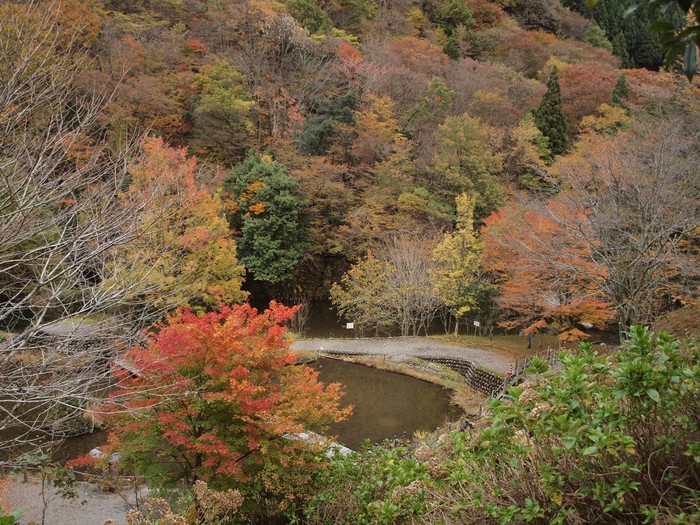 『紅葉のせせらぎ街道(郡上市明宝・磨墨の里周辺)』_d0054276_19282536.jpg