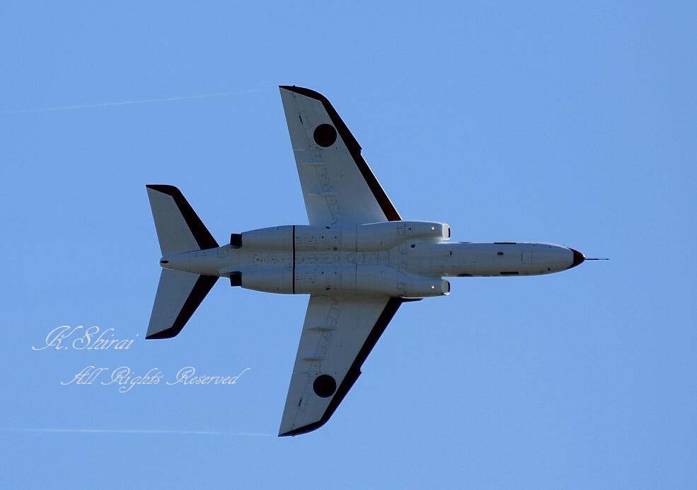 入間基地航空祭2016. 　　　　　 ～　T-4 　シルバーインパルス　～_c0073377_1411138.jpg