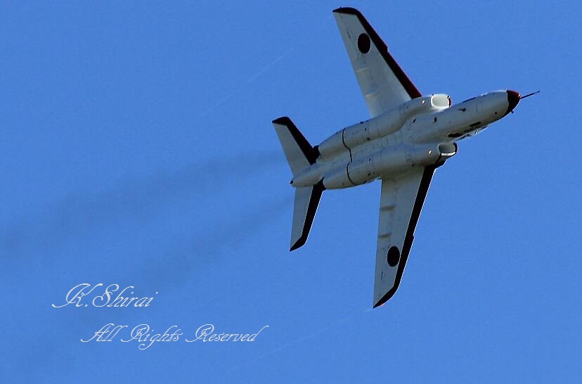 入間基地航空祭2016. 　　　　　 ～　T-4 　シルバーインパルス　～_c0073377_1485413.jpg