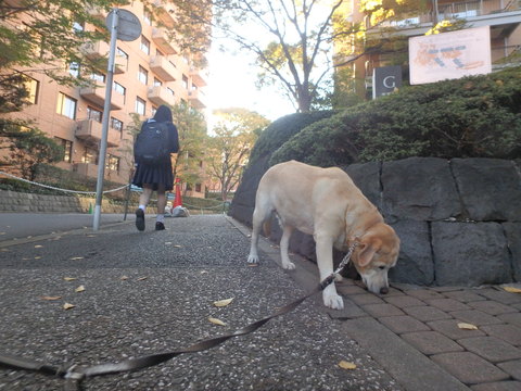 十番稲荷神社を初参詣_f0052277_2401146.jpg