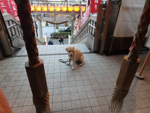 十番稲荷神社を初参詣_f0052277_2495277.jpg