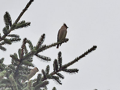 f0083977_20495161.jpg