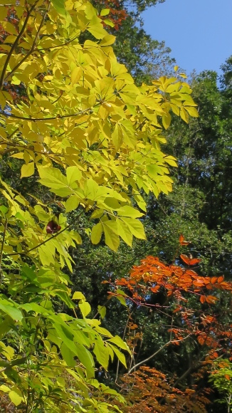 e0024081_09492573.jpg
