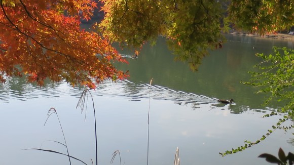 e0024081_09561396.jpg