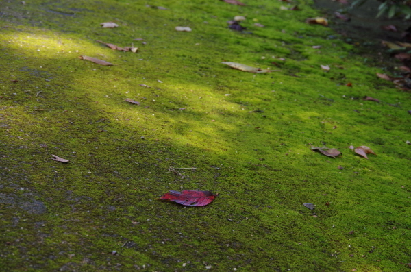 c0324382_21232703.jpg